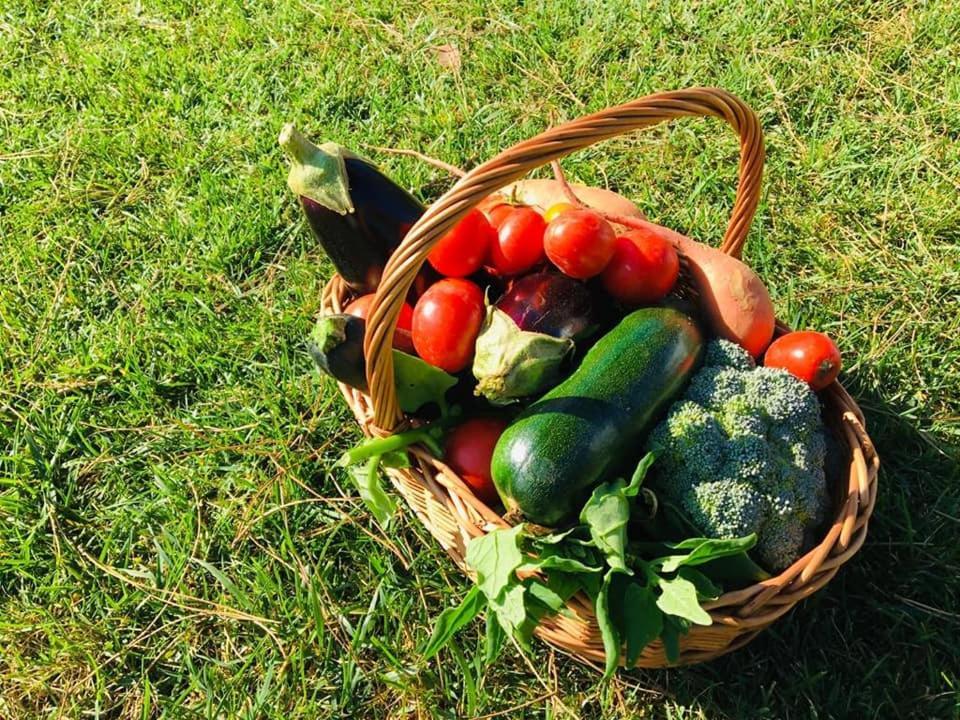 Furnaka Eco Village Lourinha  Εξωτερικό φωτογραφία